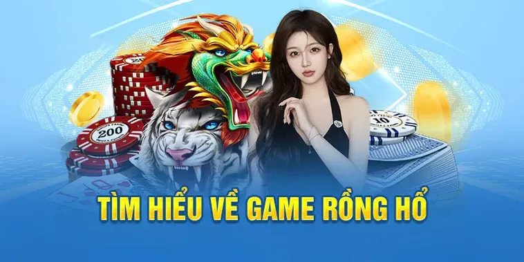 Bí Quyết Cách Tham Gia Dragon Tiger Nhà Cái MOTO88 Hiệu Quả 2 Bí Quyết Cách Tham Gia Dragon Tiger Nhà Cái MOTO88 Hiệu Quả